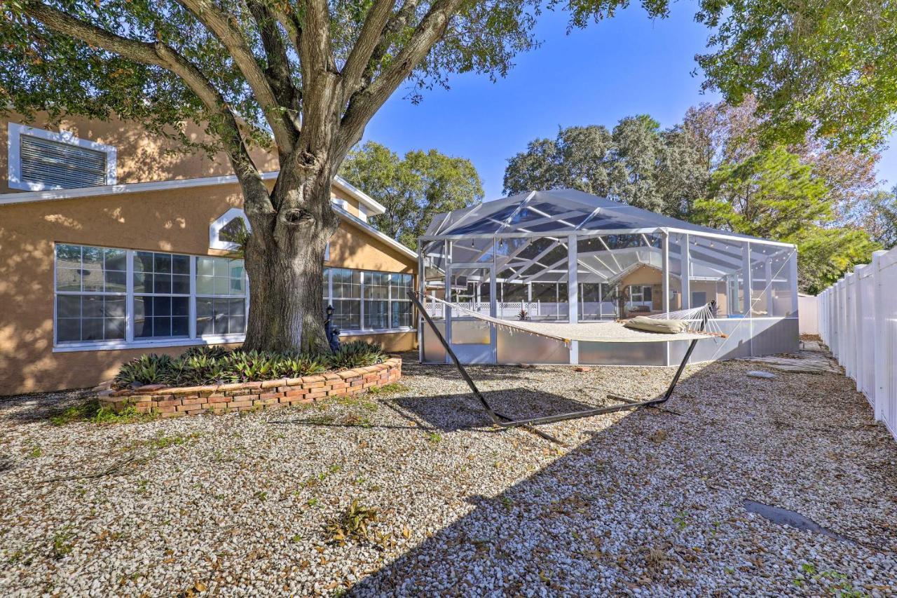 Cozy Home In Heart Of Tampa With Lanai And Pool! Esterno foto